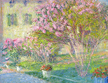 Oleandri in fiore (olio su tela 80x60)